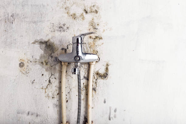 Best Water Damage Restoration  in St Hedwig, TX
