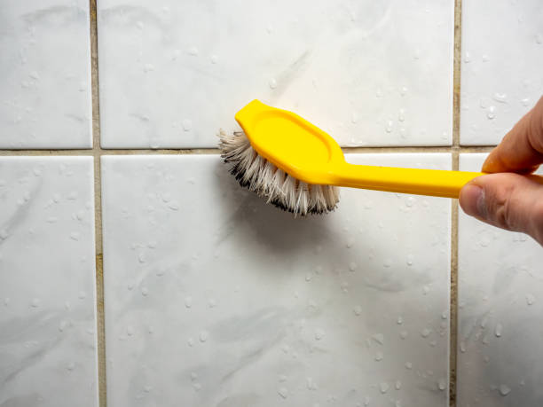 Best Fast Mold Removal  in St Hedwig, TX