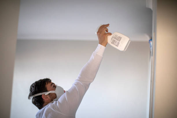Best Black Mold Removal  in St Hedwig, TX