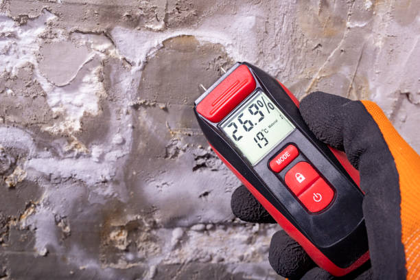 Best Emergency Mold Removal  in St Hedwig, TX