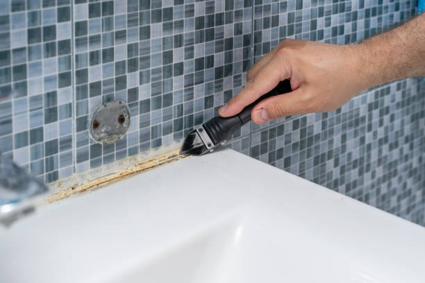 Best Mold Removal Company Near Me  in St Hedwig, TX