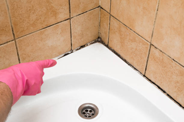 Best Residential Mold Removal  in St Hedwig, TX